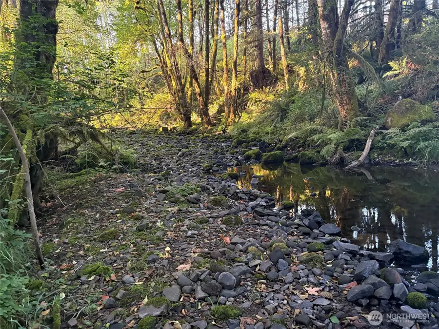 0 Frank Smith Road #parcel EF3305000, Toutle, WA 98649 - Image #2