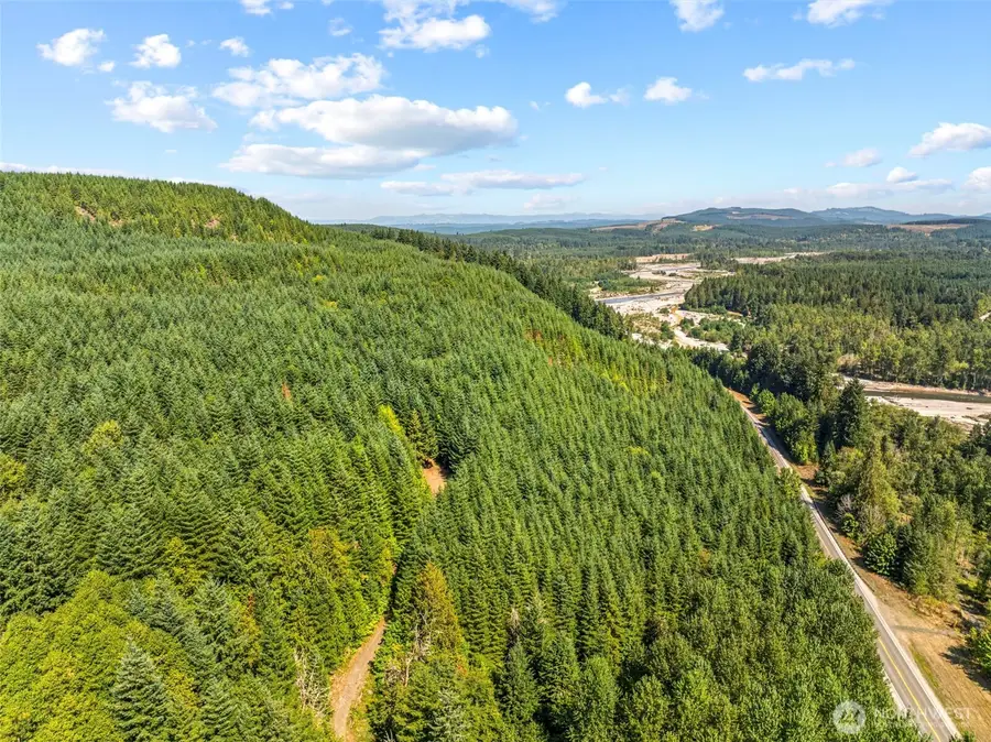 0 State Route 504 Highway, Toutle, WA 98649 - Image #3