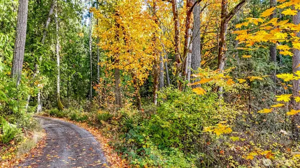 18313 Patterson Road E, Orting, WA 98360