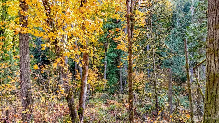 18313 Patterson Road E, Orting, WA 98360 - Image #3