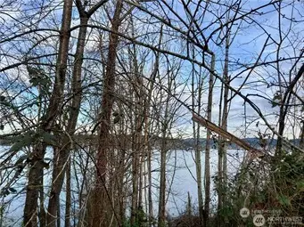 97 Xx Arrowsmith Avenue S, Seattle, WA 98118 - Image #2