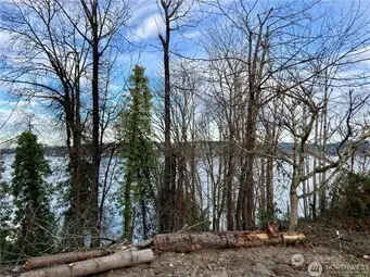 97 Xx Arrowsmith Avenue S, Seattle, WA 98118 - Image #3