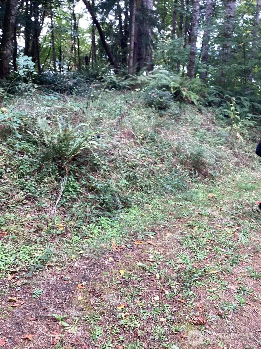 21 Bloomfield Road #2, Shelton, WA 98584 - Image #2