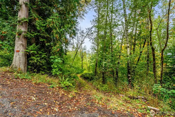 0 Mineral Hill Road, Mineral, WA 98356