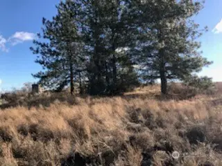 39680 Star Barn Road N #5, Davenport, WA 99122