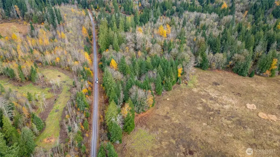 7587 Bobcat Lane, Maple Falls, WA 98266 - Image #2