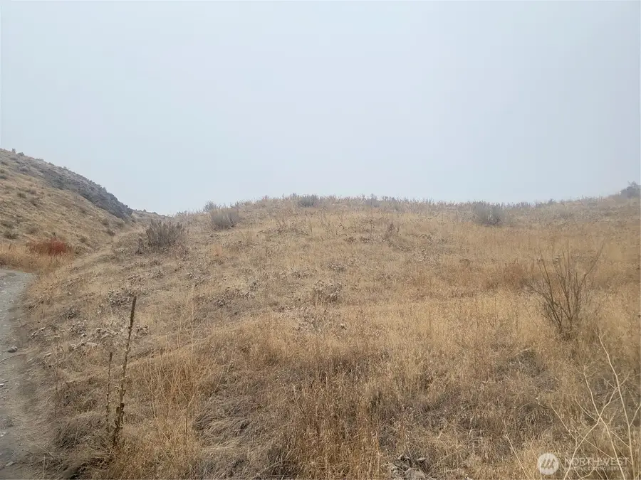 161 Weatherstone Rd, Riverside, WA 98849 - Image #2