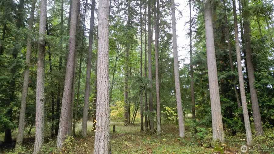 36201 S 62nd Avenue, Roy, WA 98407 - Image #3