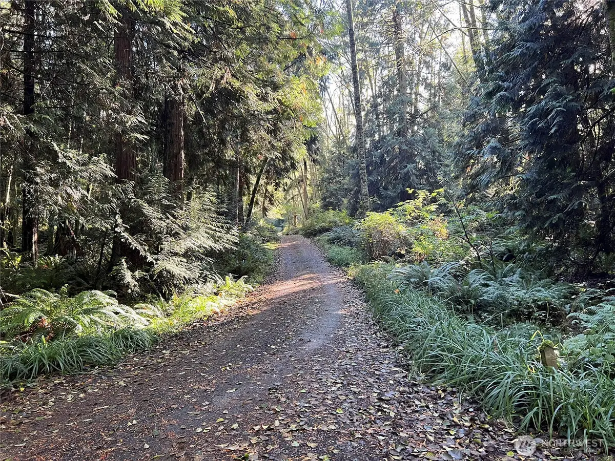 5249 Fallen Leaf Ln, Langley, WA 98260 - Image #1