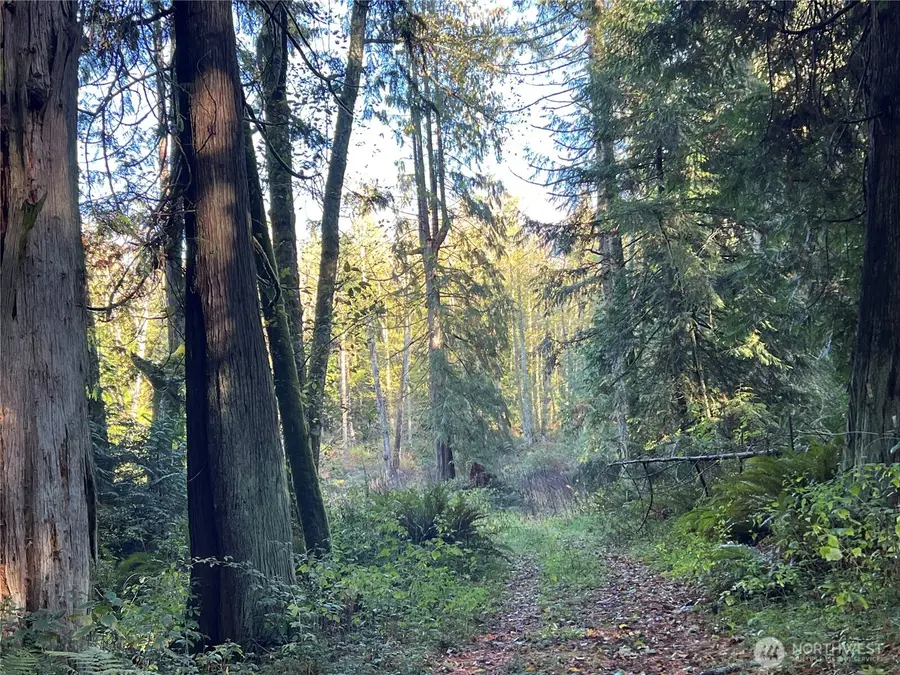 5249 Fallen Leaf Ln, Langley, WA 98260 - Image #2