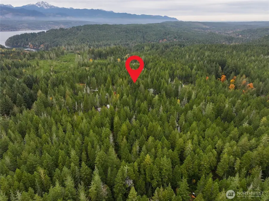 292 NE Kissin Tree Lane, Tahuya, WA 98588 - Image #2