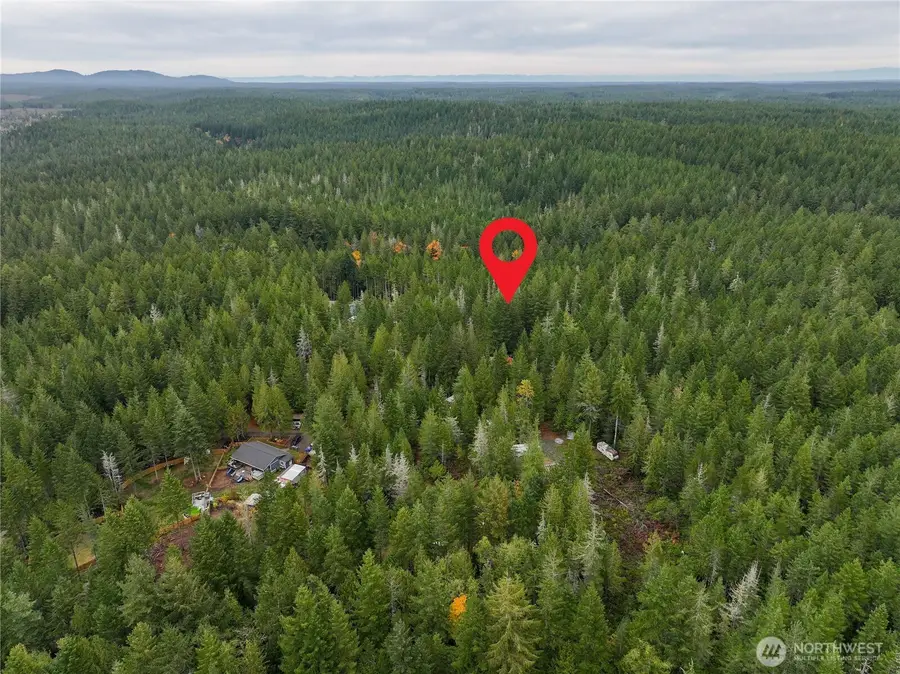 292 NE Kissin Tree Lane, Tahuya, WA 98588 - Image #3