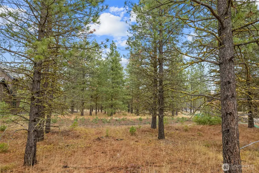 351 Southern Star Lane #18, Cle Elum, WA 98922 - Image #2