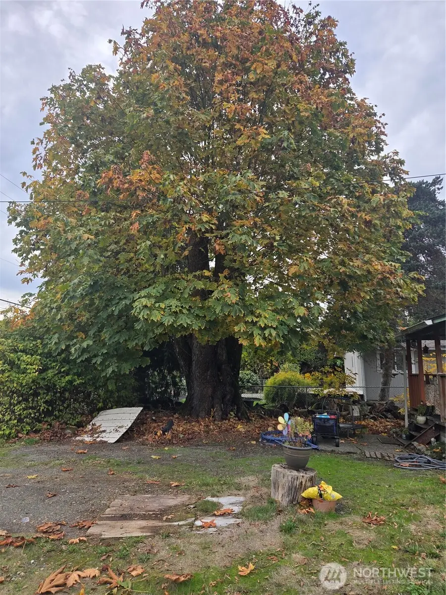 7610 Union Mills Road Se, Lacey, WA 98503 - Image #2