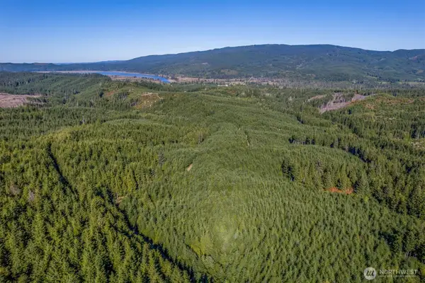 6 Parpala Road #6, Naselle, WA 98638