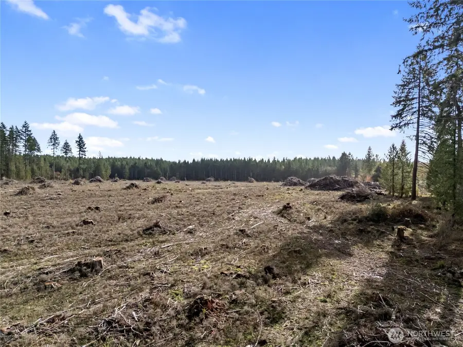 565 Meier Road, Winlock, WA 98596 - Image #3