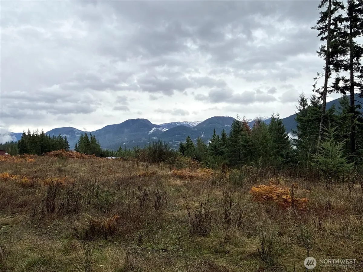 2 Forest Road 52, Packwood, WA 98361 - Image #1