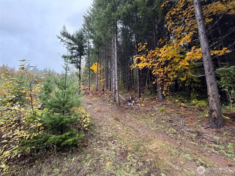 4 Forest Road 52, Big Bottom, WA 99338 - Image #3