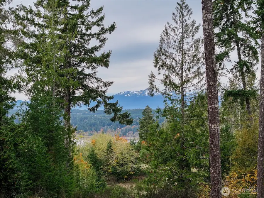 541 NE Squire Lane, Belfair, WA 98528 - Image #2