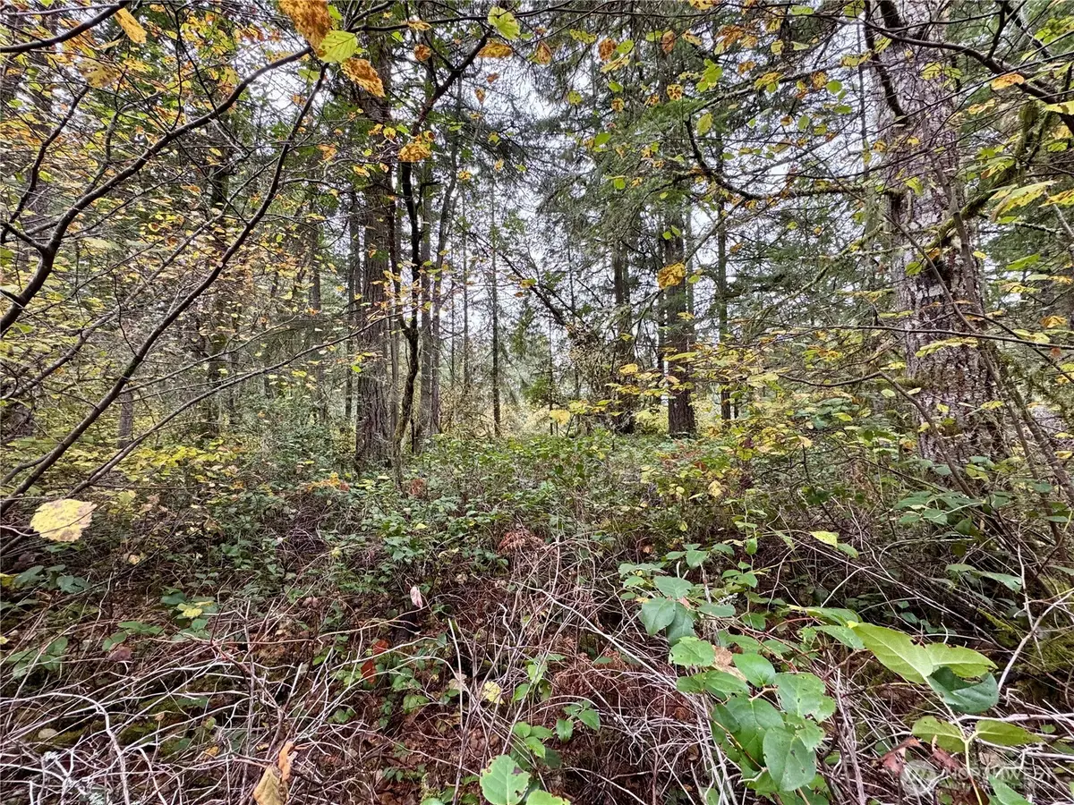 10824 Madrona Drive #73, Anderson Island, WA 98303 - Image #1