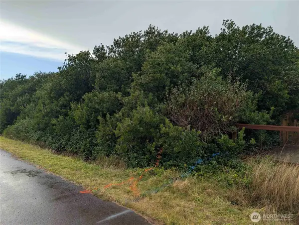 430 Salina Cruz Avenue, Ocean Shores, WA 98569