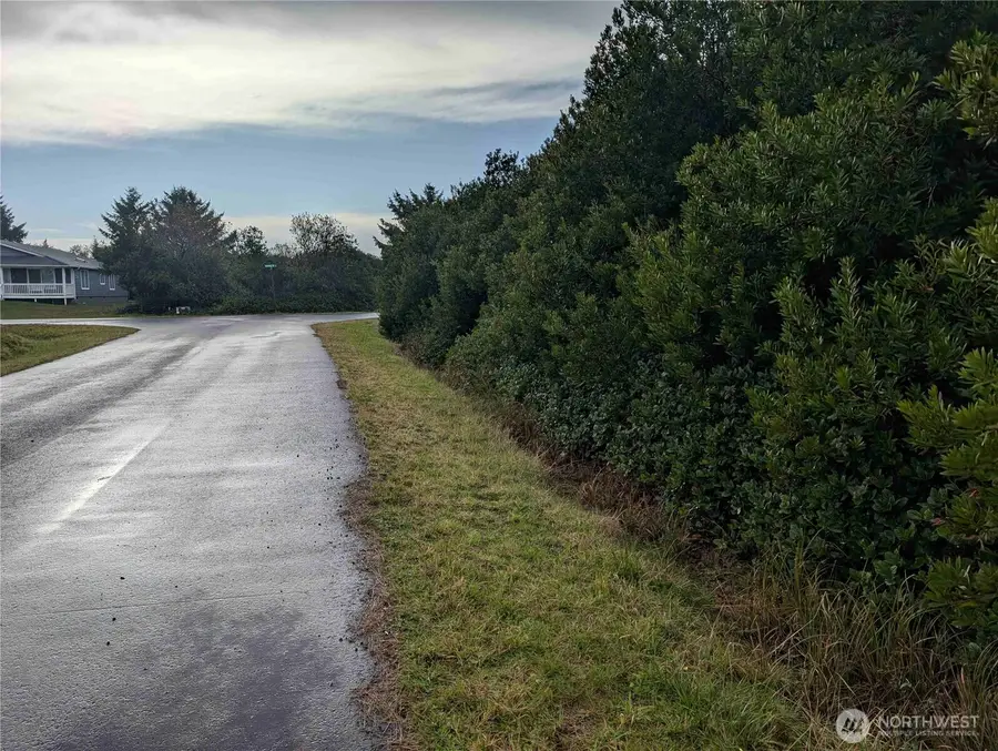 430 Salina Cruz Avenue, Ocean Shores, WA 98569 - Image #3