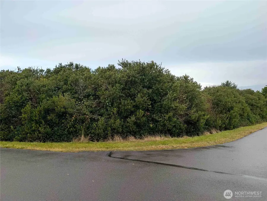 446 Salina Cruz Avenue, Ocean Shores, WA 98569 - Image #2