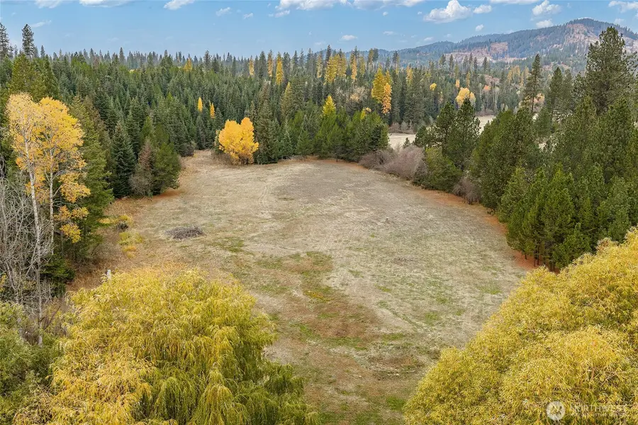 24727 E Blanchard Rd, Newport, WA 99156 - Image #2