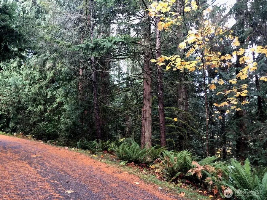 15 Wintercress Way #3, Bellingham, WA 98229 - Image #2