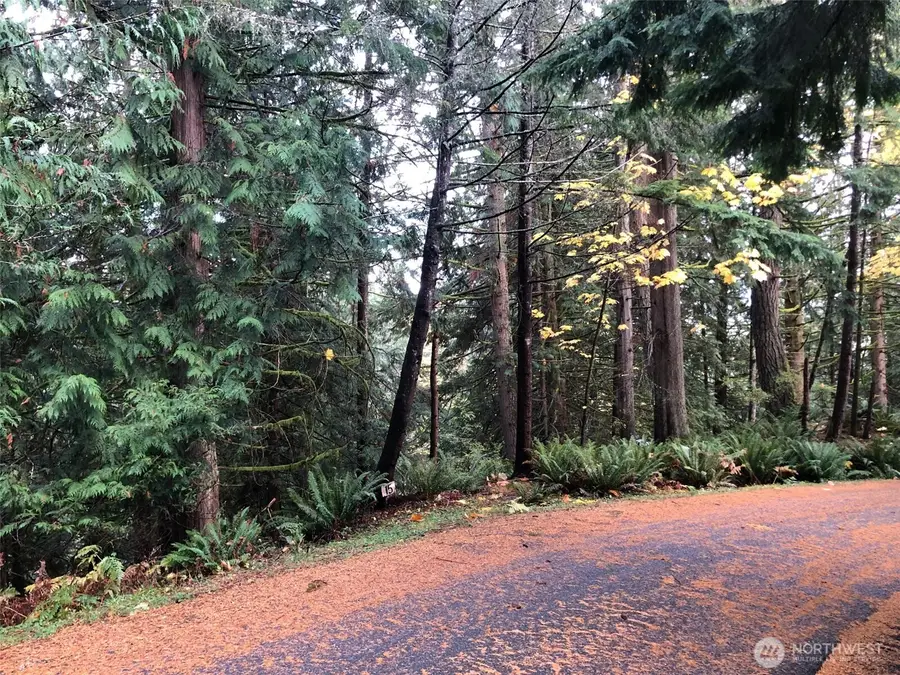 15 Wintercress Way #3, Bellingham, WA 98229 - Image #3