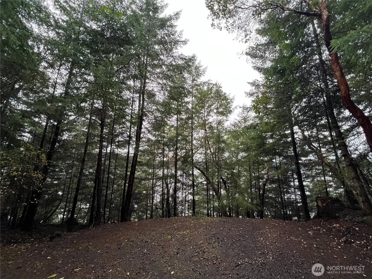 649 Shore Road #Unplatted, Eastsound, WA 98245 - Image #1