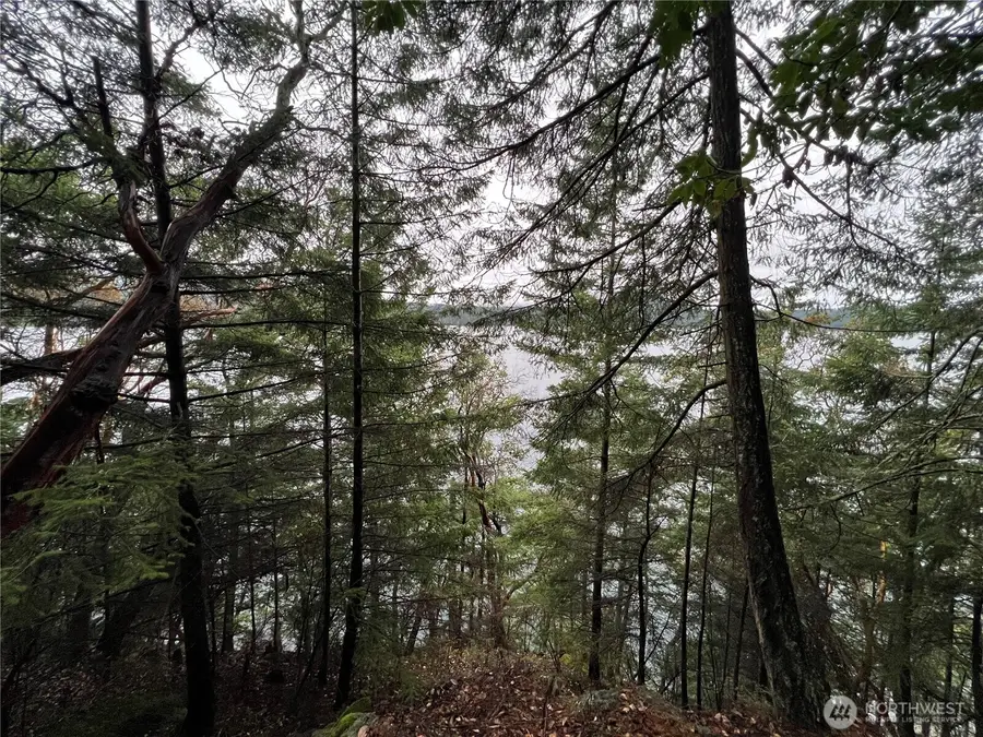 649 Shore Road #Unplatted, Eastsound, WA 98245 - Image #2
