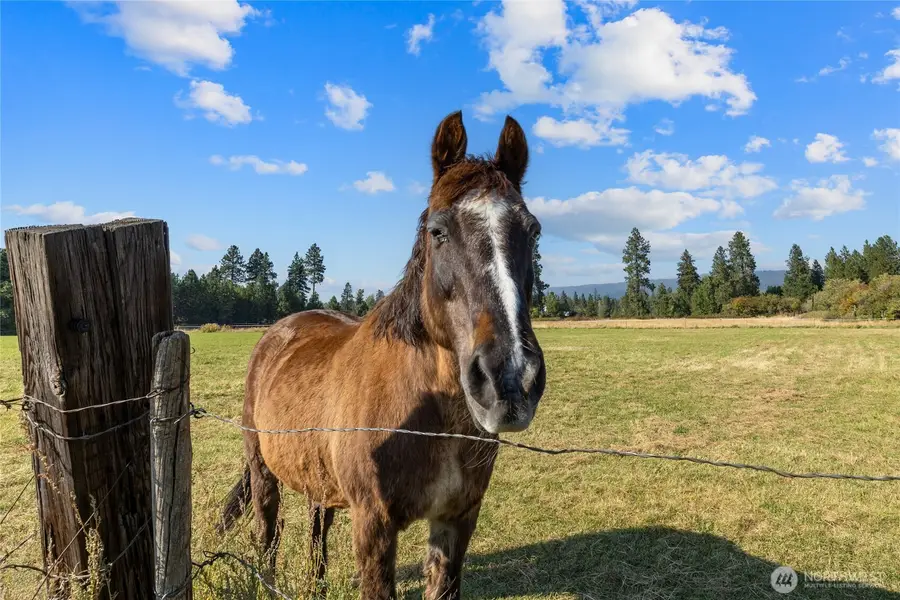 0 Westside Road, Cle Elum, WA 98922 - Image #3