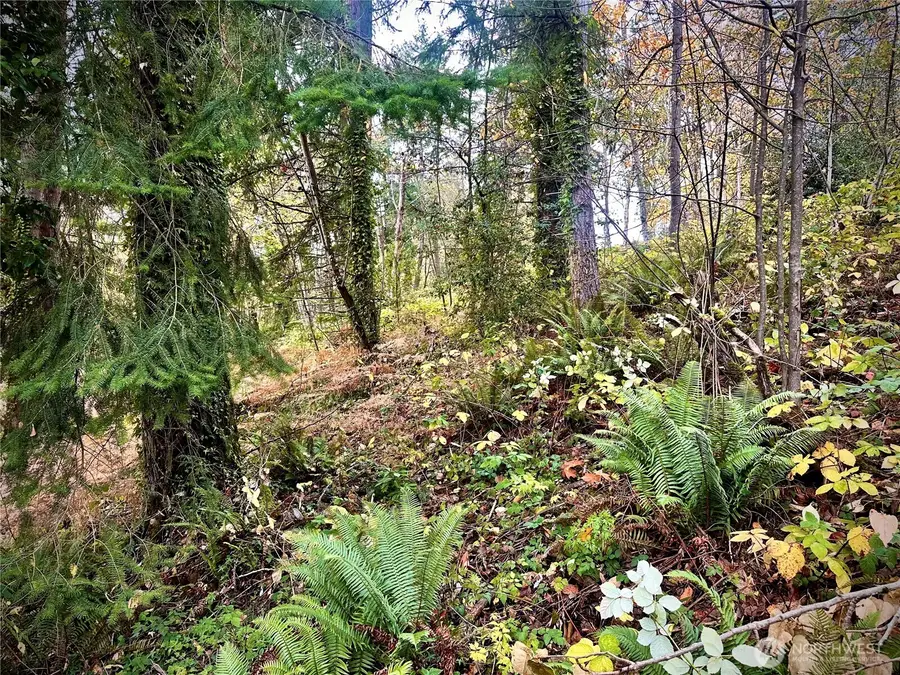 27325 SE 402nd, Enumclaw, WA 98022 - Image #2