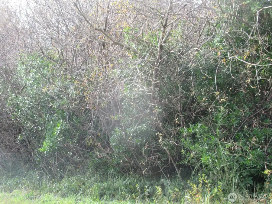 4 Driftwood Drive, Ocean City, WA 98569 - Image #2