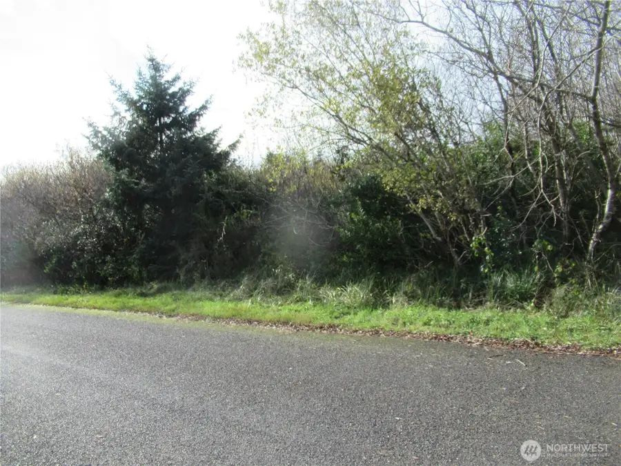 12 Driftwood Drive, Ocean Shores, WA 98569 - Image #2