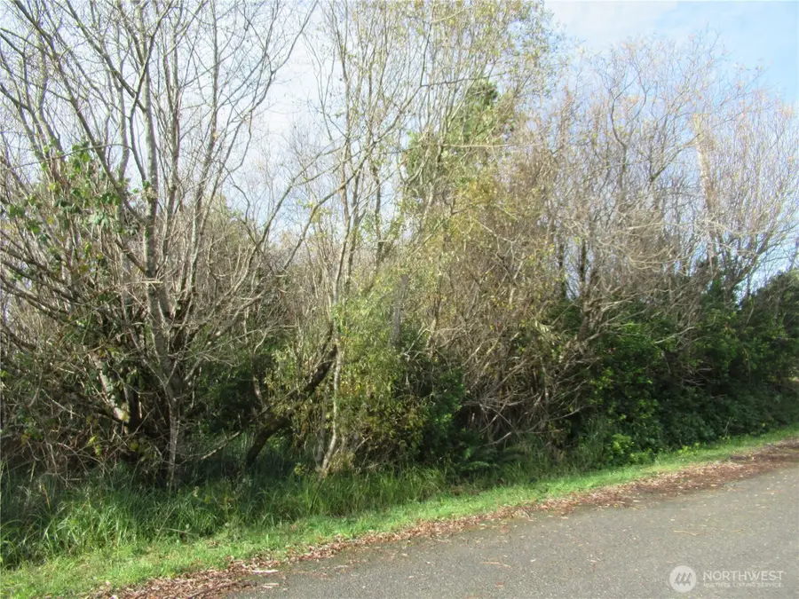 12 Driftwood Drive, Ocean Shores, WA 98569 - Image #3