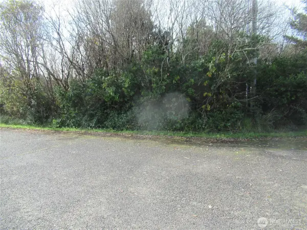 16 Driftwood Drive, Ocean Shores, WA 98569