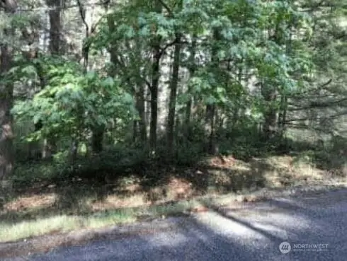 10602 Madrona Drive, Anderson Island, WA 98303