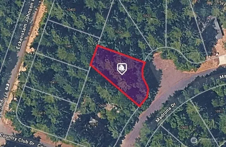 10602 Madrona Drive, Anderson Island, WA 98303 - Image #2