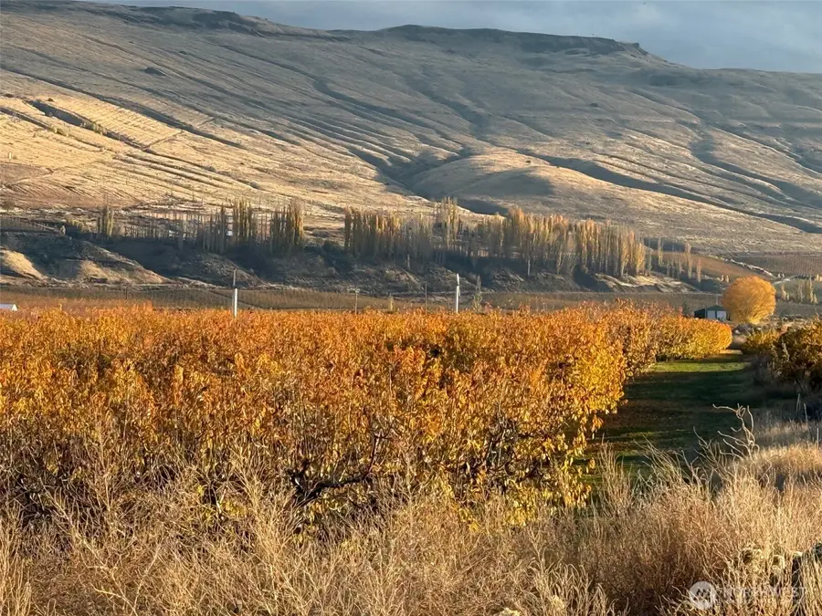 556 Jack Wells Road, Bridgeport, WA 98813 - Image #3