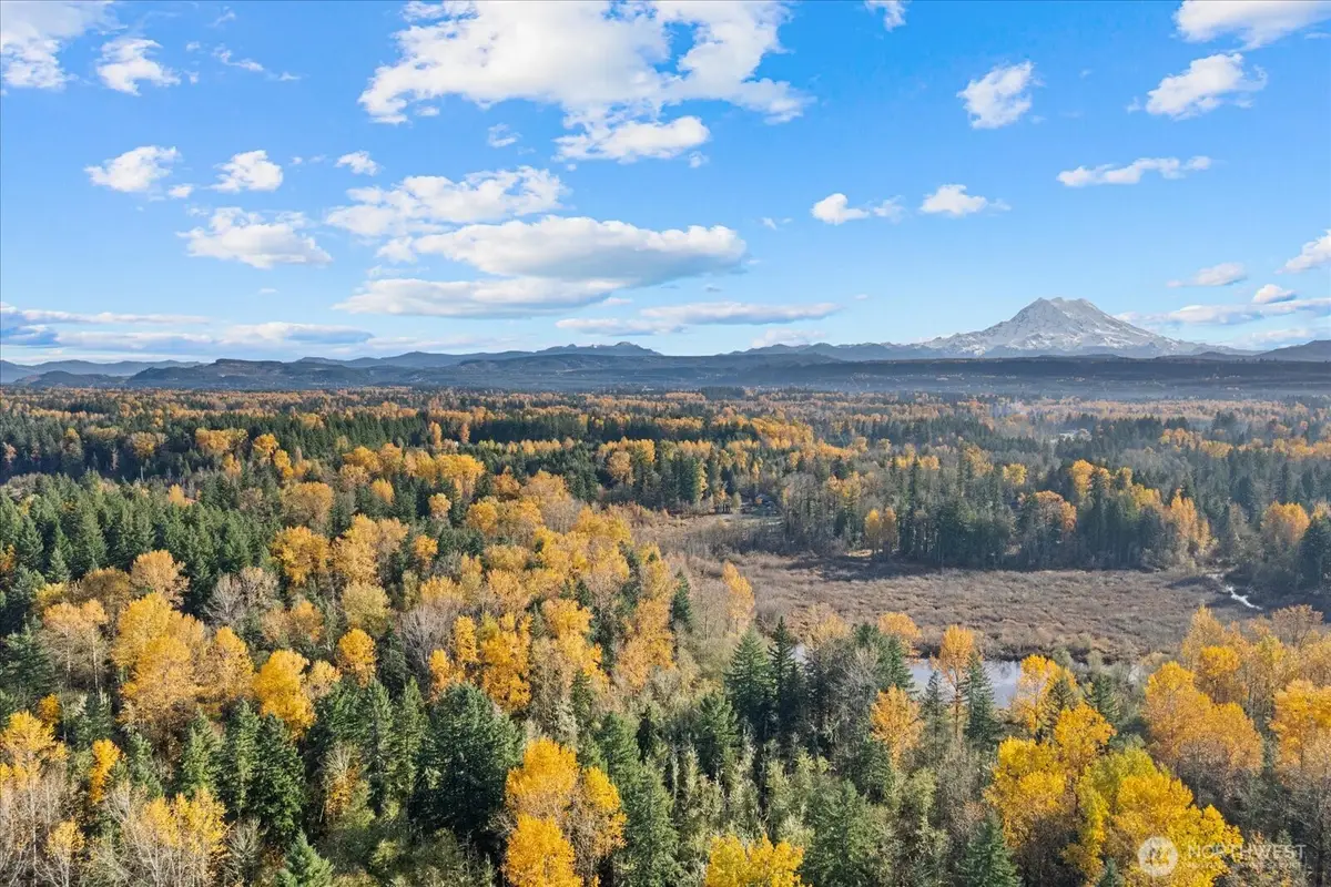 10918 288th Street E, Graham, WA 98338 - Image #1