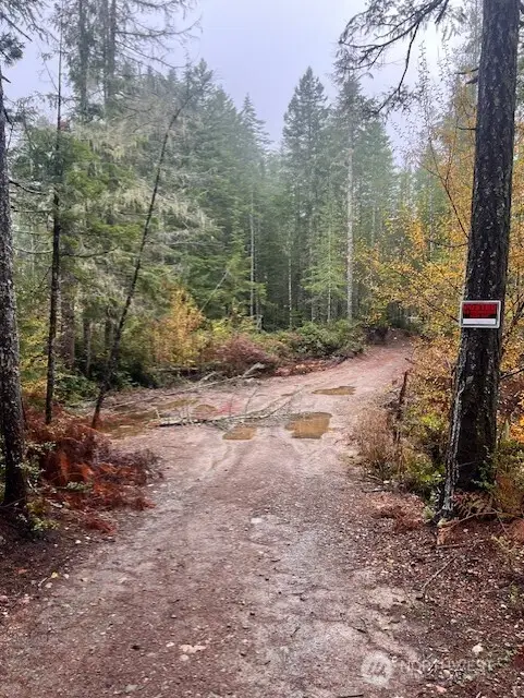 0 Dewatto Hills Road #Tract 15, Belfair, WA 98528