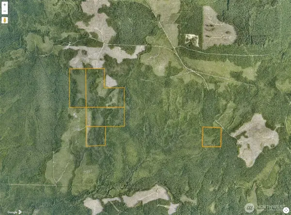 0 0, Humptulips, WA 99353