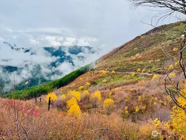 14638 Us Hwy 2 #12, Leavenworth, WA 98826 - Image #1