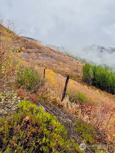 14638 Us Hwy 2 #12, Leavenworth, WA 98826 - Image #3