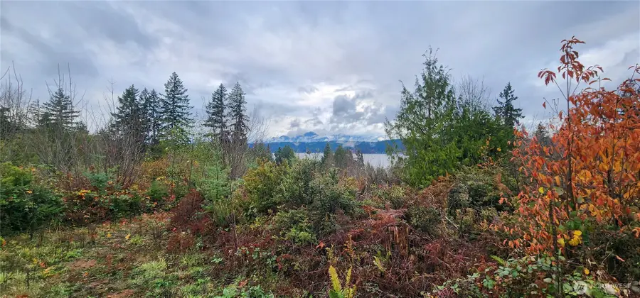 0 E Twanoh Heights Road, Belfair, WA 98528 - Image #3