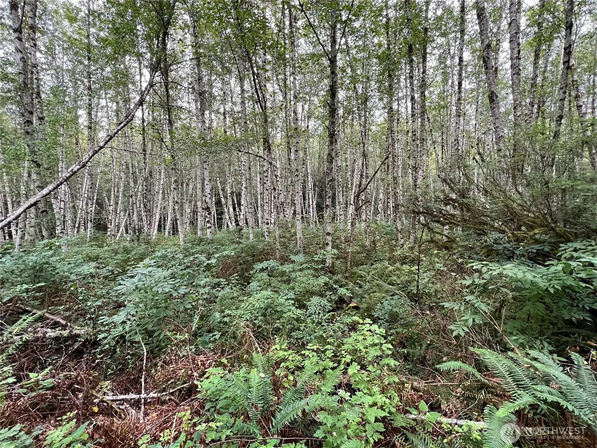 4 Scenic Drive, Poulsbo, WA 98370 - Image #1