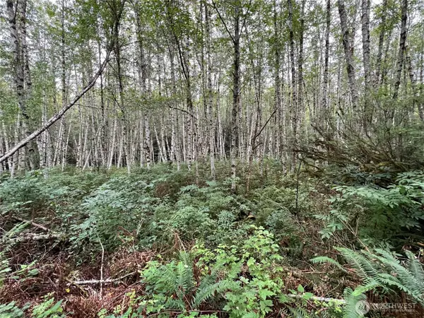 4 Scenic Drive, Poulsbo, WA 98370