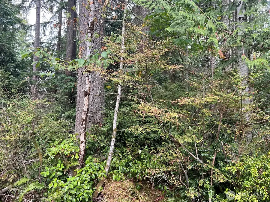 2 View Drive Ne, Poulsbo, WA 98370 - Image #3